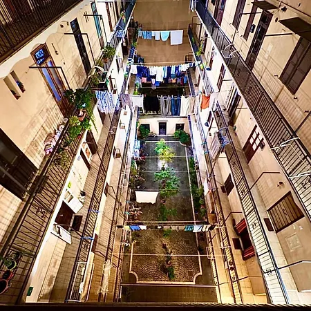 Paradishome-2